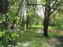 Huisseau sur Cosson